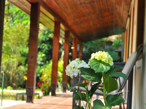 Hostal Hobbit Evi