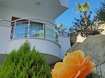 Apartamento White Pearl Alanya