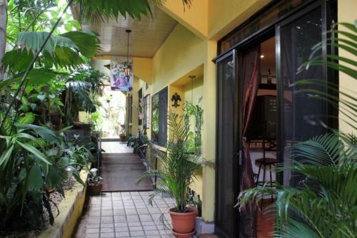 Nirvana Apartments
