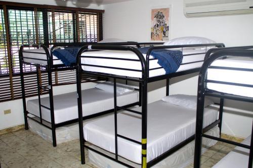 Albergue Hostal Loco Coco Loco