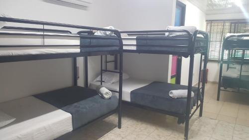 Albergue Hostal Loco Coco Loco