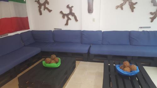 Albergue Hostal Loco Coco Loco