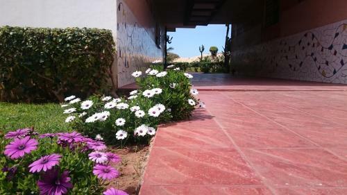 Apartamento Artistica Suite - La Siesta