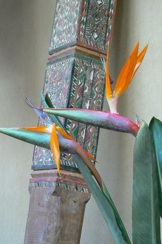 Bed & Breakfast Tigmi Nomade