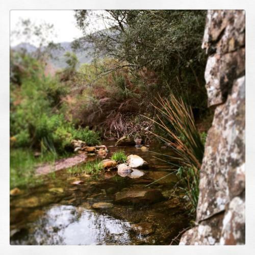 Agroturismo Pat Busch Mountain Reserve