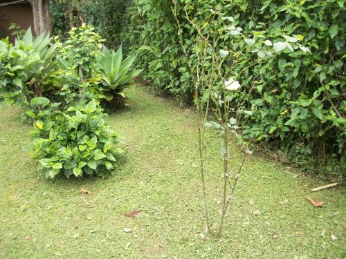 Hostal Chal�s Vale Verde