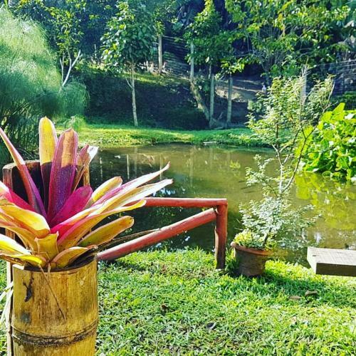 Hostal Pousada Recanto Dos Ipes