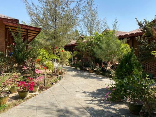 Posada Trinity Family Inn