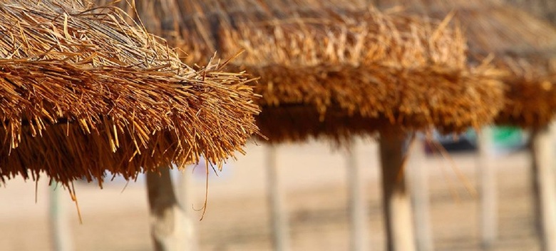 Apartamentos Club Sa Coma