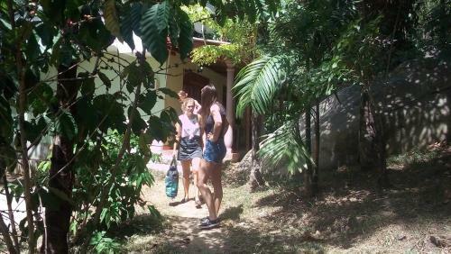 Hostal Nature Park