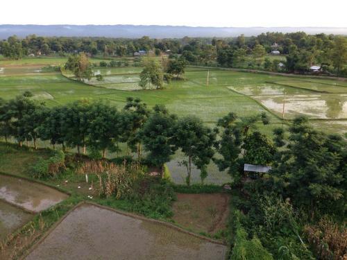 Hotel Chautari Garden Resort Pvt. Ltd