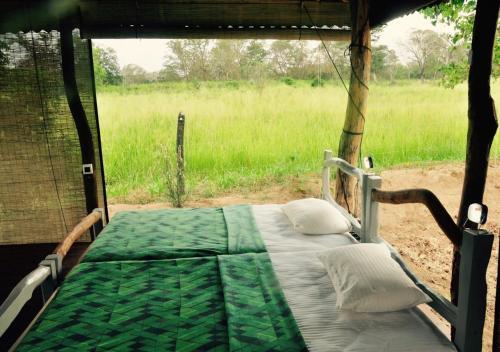 Lodge Elephant Watch Hut