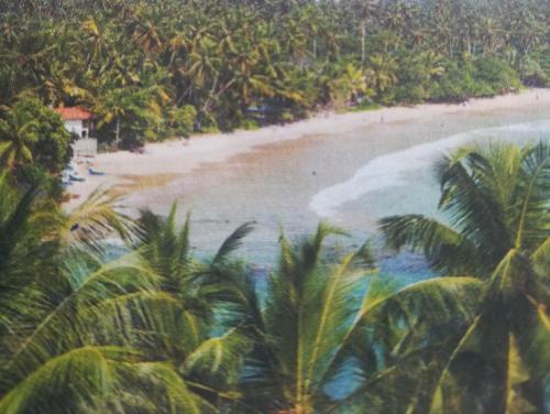 Hotel Seaview Resort