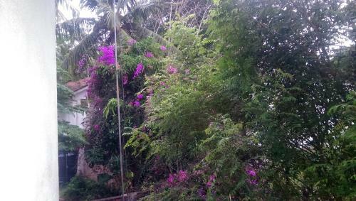 Hotel Seaview Resort