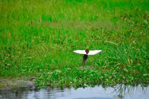 Bed & Breakfast Hotel Birds View