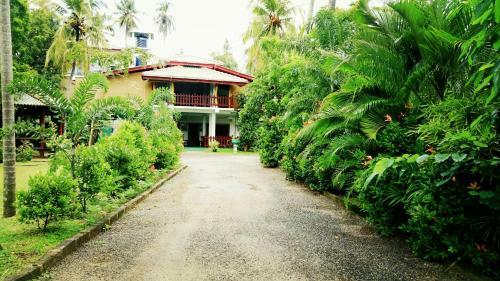 Bed & Breakfast Hotel Birds View
