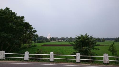 Bed & Breakfast Hotel Birds View