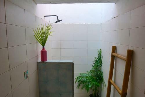 Hostal La Favela