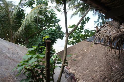 Hotel Lazy Hut