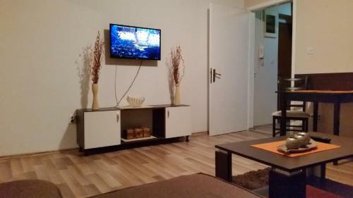 Apartment 45