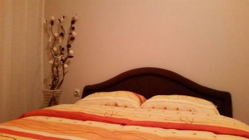 Apartment 45