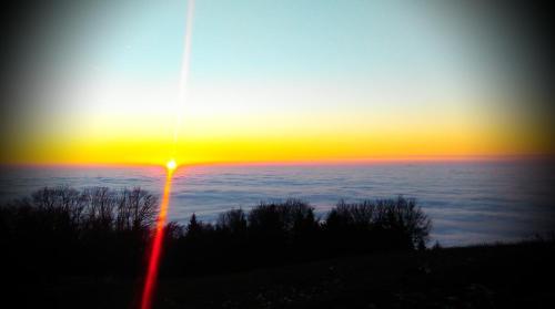 Hostal Riegrova Chata Koz�kov