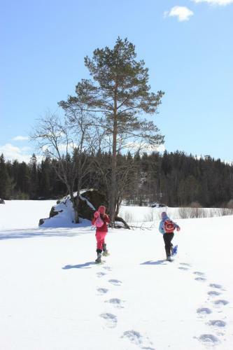 Lodge Mennink�inen Cottage