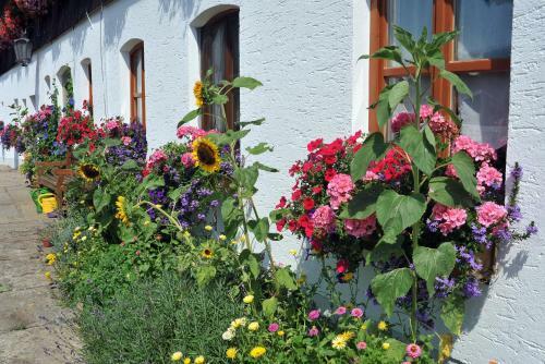 Apartamento Beim Beckerbauern