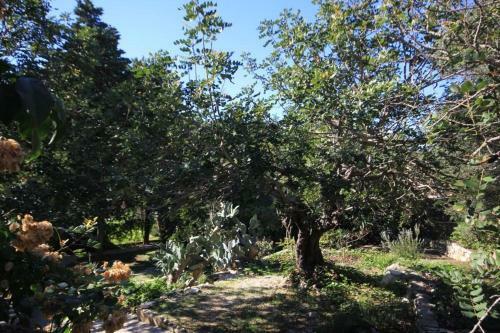 Holiday Home Uvala Rogacic 8887
