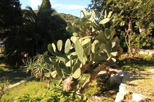 Holiday Home Uvala Rogacic 8887