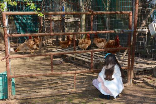 Agroturismo Giardino Di Maremma
