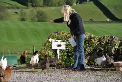 Airds Farmhouse Bed And Breakfast