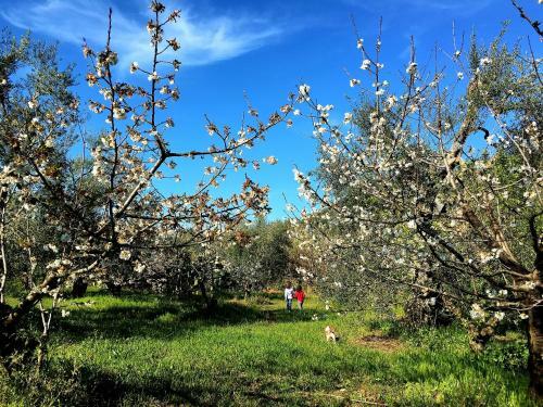 Agroturismo Posta Santa Croce