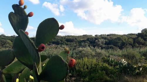 Agroturismo Posta Santa Croce
