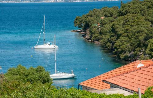 Apartments Gorana
