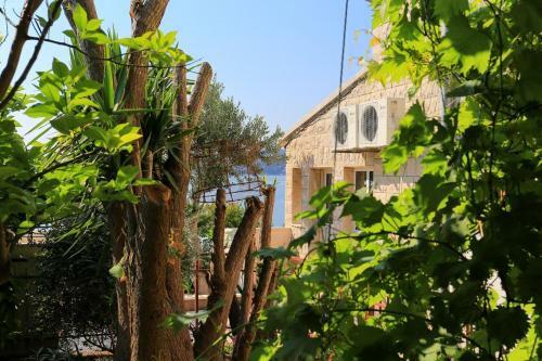 Hostal Apartment Seget Donji 10372a