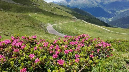 Posada Gasthof Sch�nblick