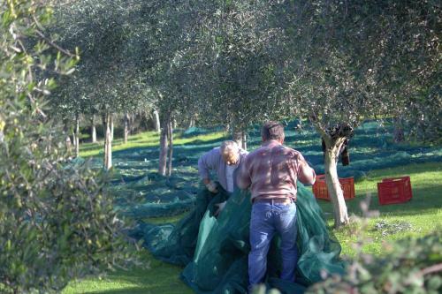 B&B Colle Perrini Country House