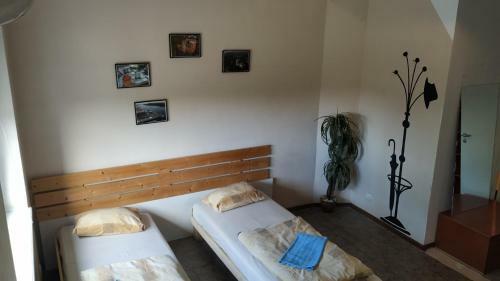 Albergue Men's Style