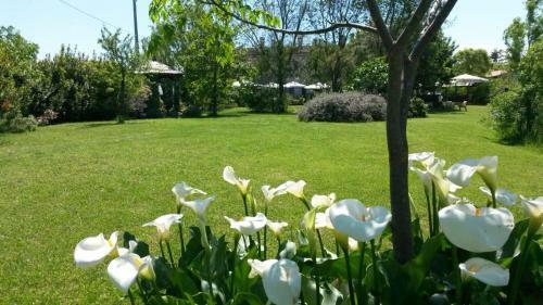Antico Casale Cesenatico B&B
