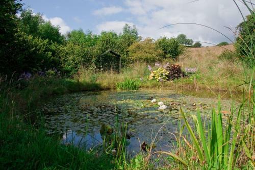 Bed & Breakfast Ghyll Farm B & B