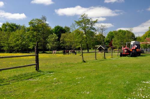 Vakantiepark Bosmeer