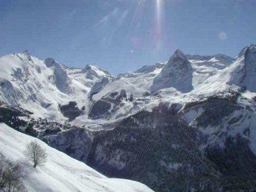 Rental Apartment Le Chalet 11