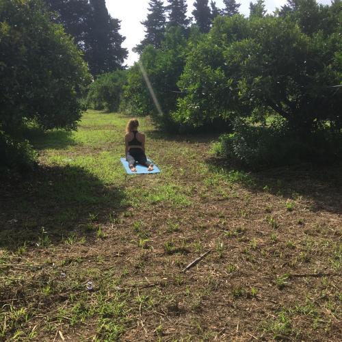 Agroturismo Luna&limoni Country