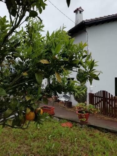 Agroturismo El Oteru I