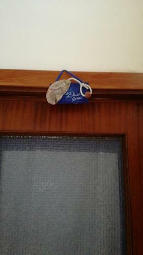 B&B Pompeilog
