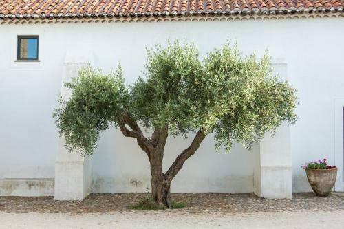 Agroturismo Herdade Da Maxuqueira