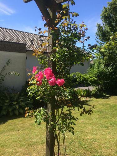 Apartamento G�stehaus Carpe Diem