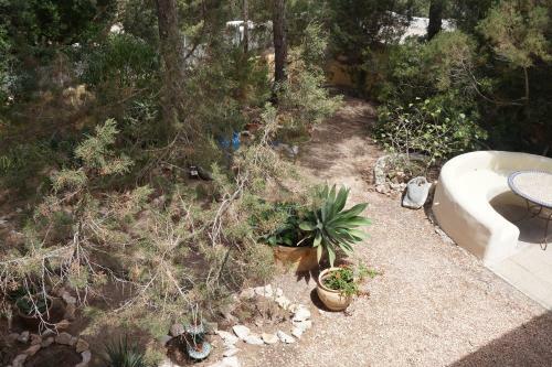 Villa Casa La Paloma