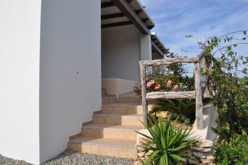 Agroturismo La Pitiusa